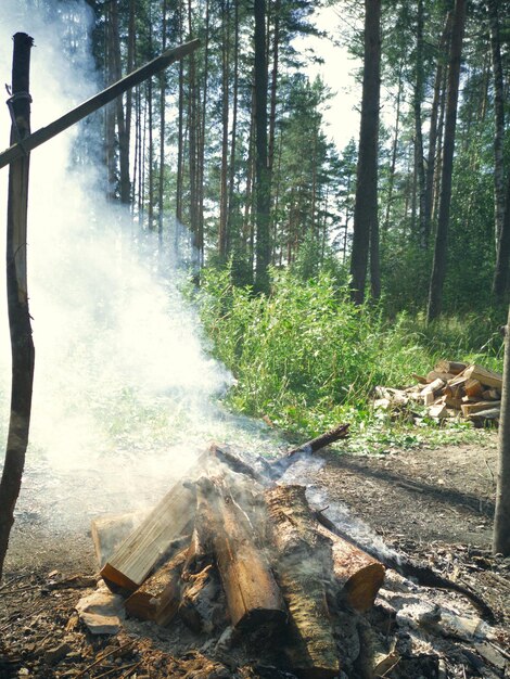 Picnic in nature smoke from the fire