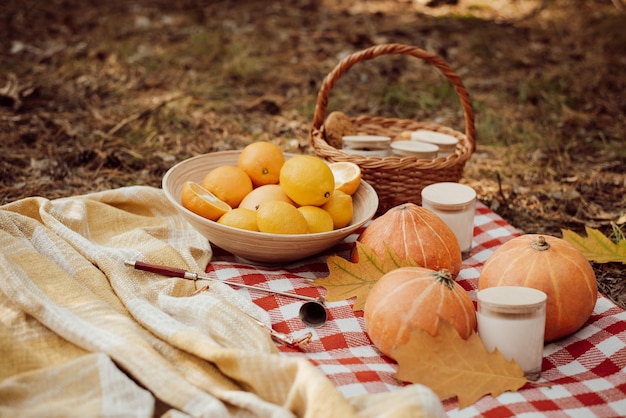 Picnic outdoor in bright autumn park