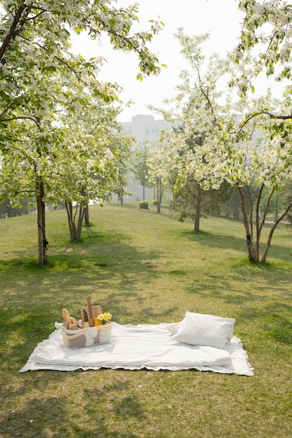 Picnic in the park under the blooming apple trees in spring