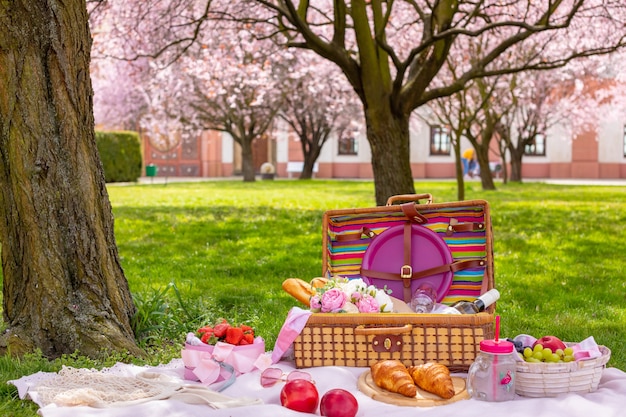 Picnic in the park under blooming cherry trees with fruit, wine, bread and croissants