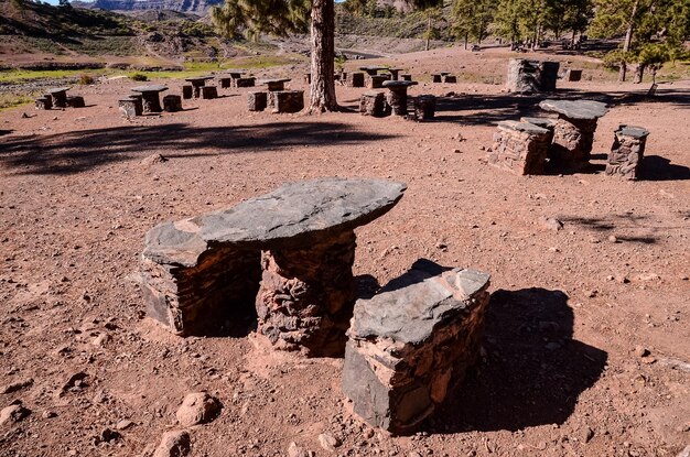 Photo picnic recreational area