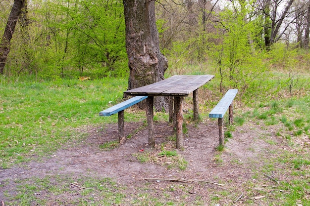 Picnic site wooden table and benches in forest park