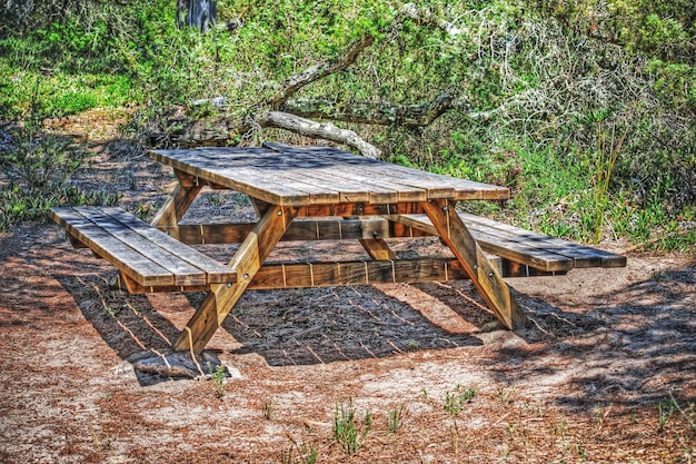 Picnic table in the forest