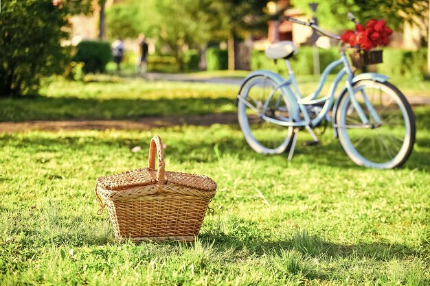 Picnic time vintage bike garden background rent bike to explore\
city nature cycling tour retro bicycle with picnic basket bike\
rental shops primarily serve typically travellers and tourists