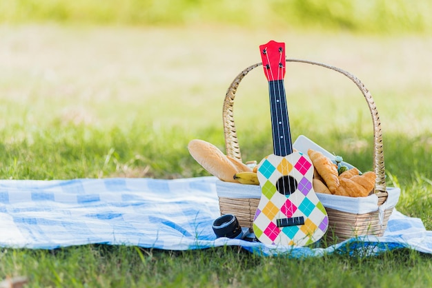 パン食品と果物、ウクレレ、日当たりの良い夏にコピー スペースを持つ緑の芝生の庭で青い布にレトロなカメラとピクニック wattled バスケット