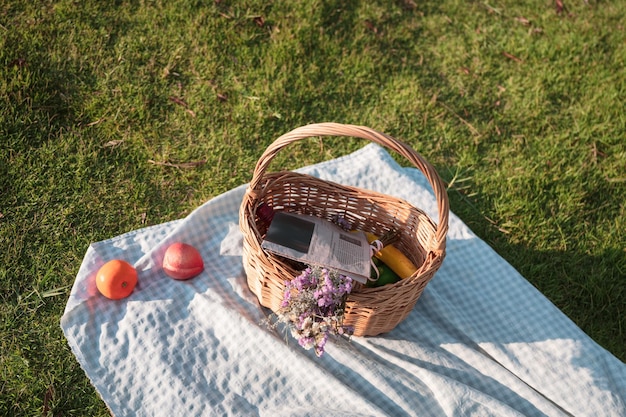 Picnic wicker basket with fruits, newspaper,wine and cloth on grass