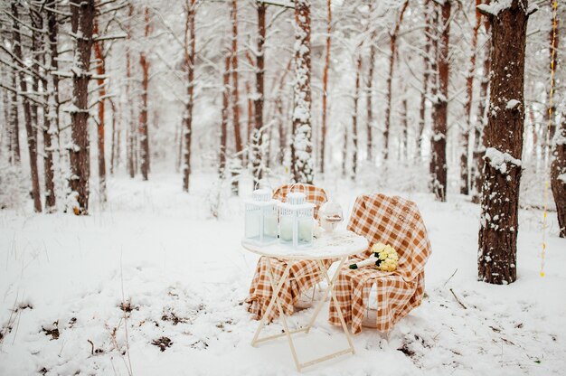 Picnic in the winter forest