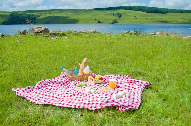 Picnic with fruits and juice on green lawn