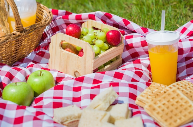 Picnic with fruits and juice on green lawn