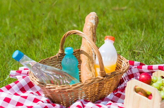 Picnic with fruits and juice on green lawn