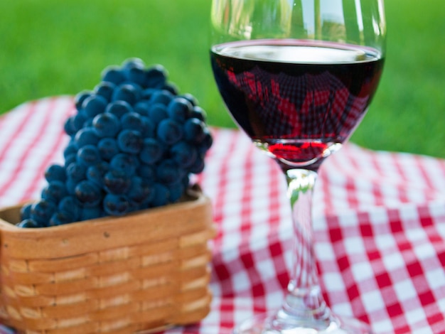 Picnic con vino rosso nel parco.