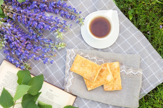 緑の芝生旅行休日の概念上の公園で格子縞の本を焼くお茶とピクニック