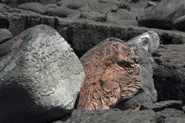 Pico azores lava field by the sea detail