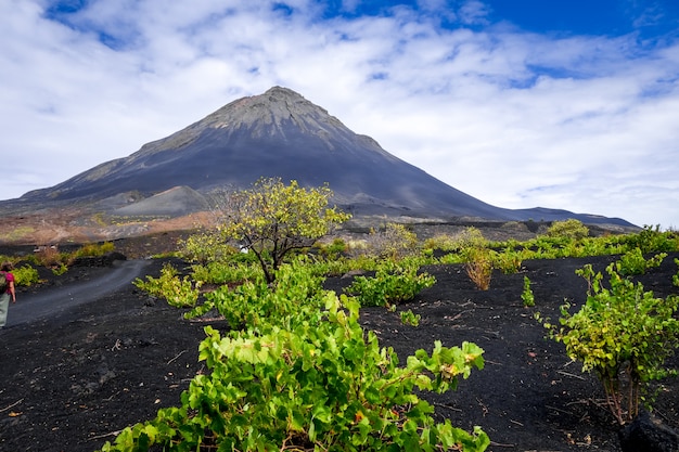 Pico do Fogo en wijnstokken in Cha das Caldeiras, Kaapverdië