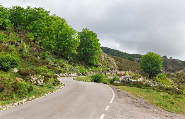 Picos de Europa 산악 도로 스페인