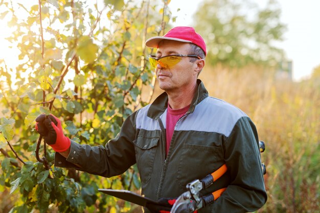 Picture of adult man in protective uniform standing in wood with big gardening scissors in his hands.Ecology concept. Sunny autumn day in garden.