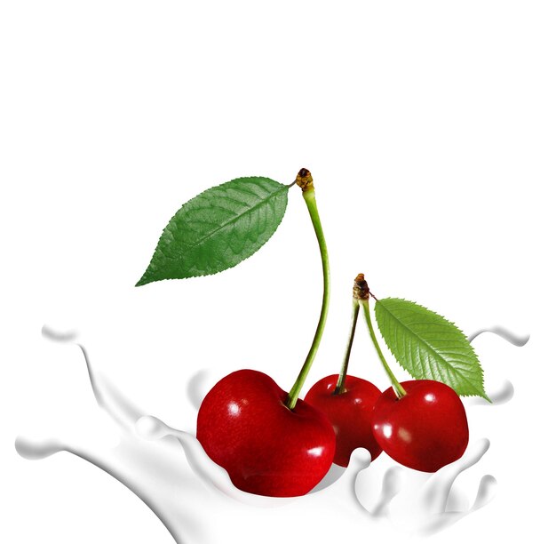 a picture of cherries with the word cherry on the bottom Marostica cherry on white background