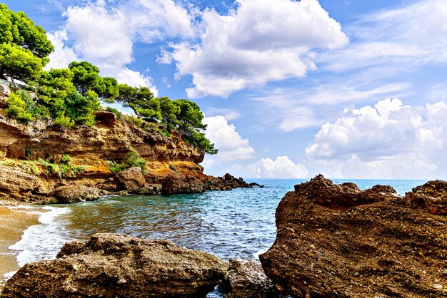 a picture of a cliff with a blue sky and a tree on the top of it