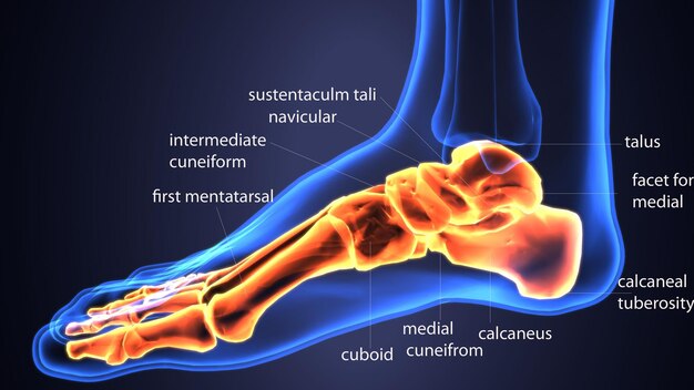 a picture of a foot with the bottom of the foot on it