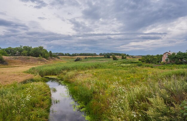 Picture of green field and blue sky