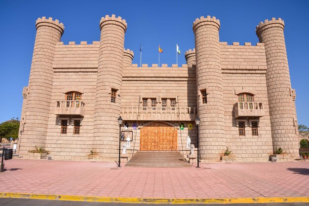 Picture Image of a Medieval Brown Castle