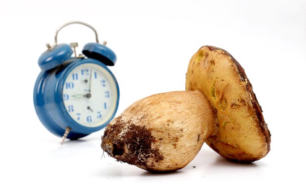 picture of a just harvested mushrooms boletus edulis in front of blue alarm clock healthy food concept