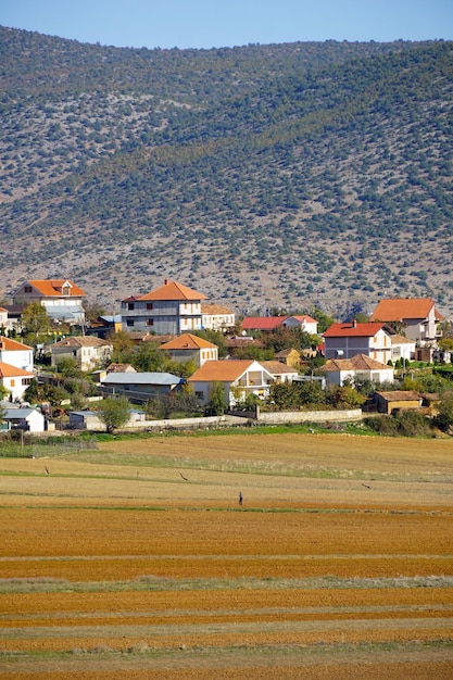 picture of a lake Prespa in Albania in autumn