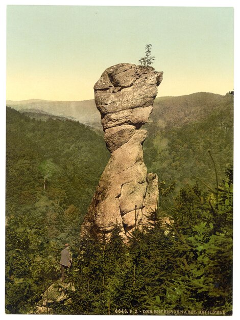 Photo a picture of a man standing on a rock with a tree in the middle of it