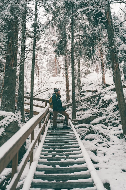 Picture of man in winter forest on wooden bridge