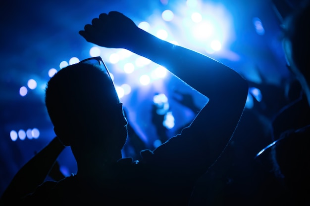 Picture of party dancing people at music festival