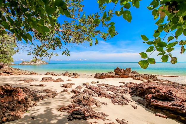 Picture of peaceful beach with white sand in sunny day