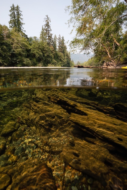 Foto immagine sopra e sotto di un fiume durante una vibrante giornata estiva di sole