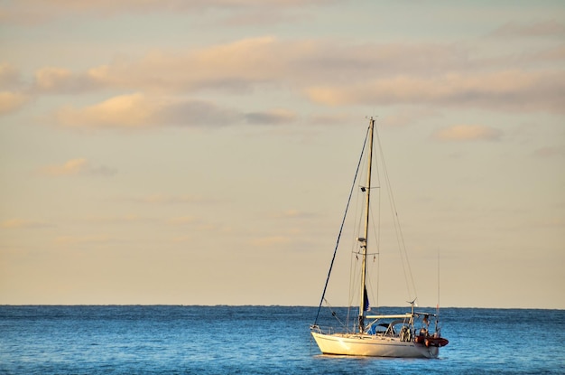 Picture of a Sail Boat in the Ocean