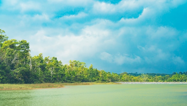 태국, 자연 컨셉의 열대 우림의 그림