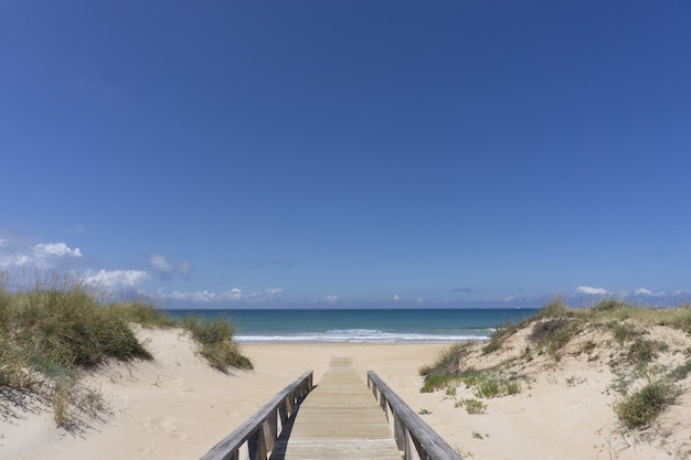 Picture of a wooden bridge against a bay