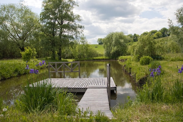 Picture of wooden bridge on the lake and nature