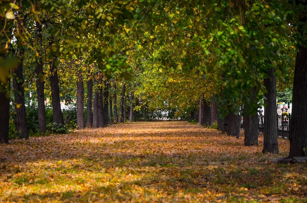 Picturecque herfst steegje.