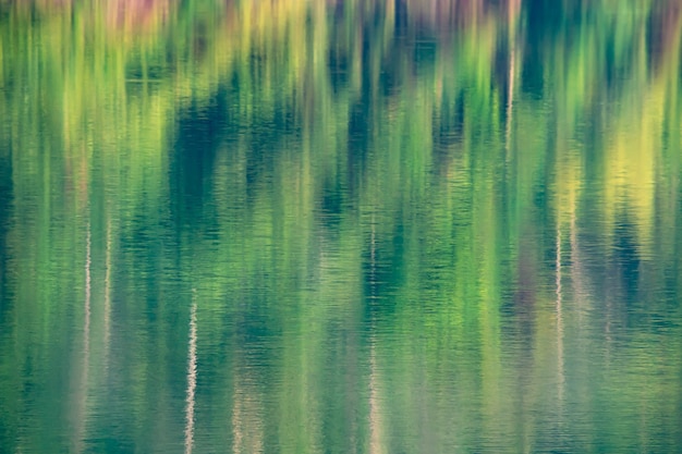 Pictures blurry trees reflects from the surface of the water.