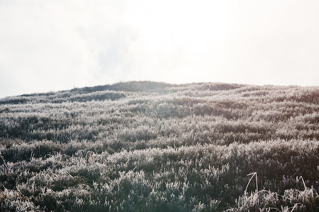 Picturese frozen hill of mountain on sunlight.