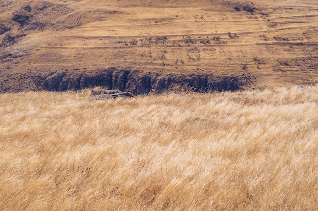 Foto pittoresco paesaggio autunnale campi e prati nelle montagne della regione dell'armenia fotografia d'archivio