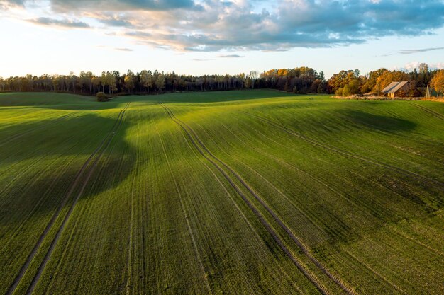 Picturesque autumn scene of a rolling hills of agricultural area from a birds eye view at sunset