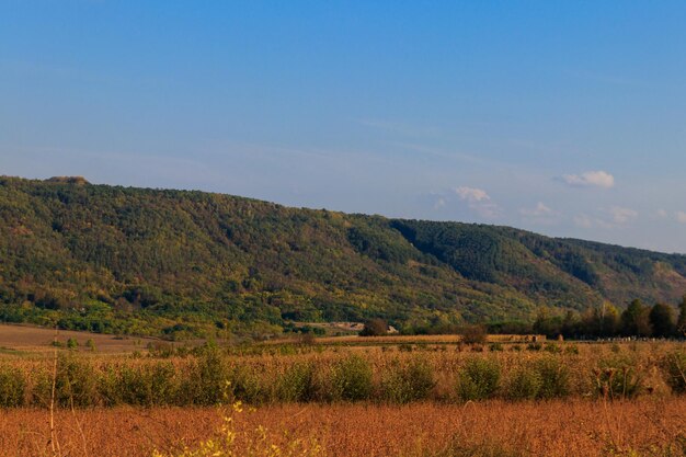 Picturesque autumn scenery with blue sky and colorful autumn trees on mountain hills