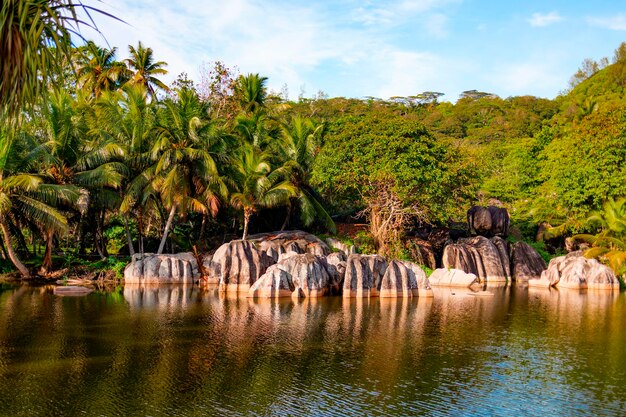 picturesque bright nature in Seychelles lake and granite stones