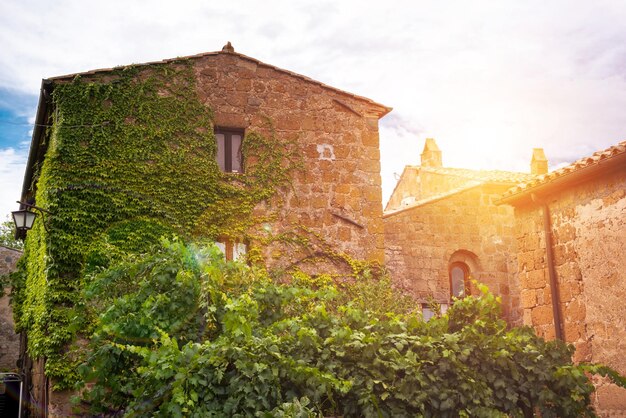 イタリア、トスカーナの中世の町の美しい建物古い石壁と植物