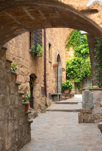 イタリア、トスカーナの中世の町の美しい建物古い石壁と植物
