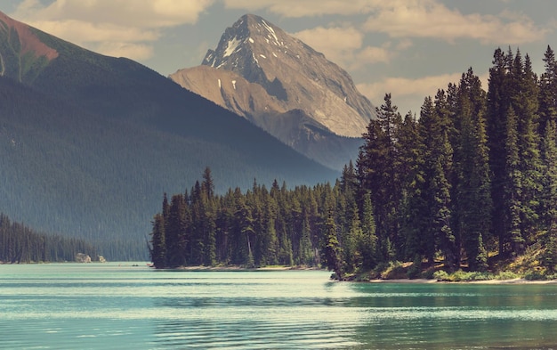 夏の絵のように美しいカナダの山々