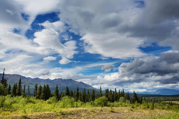 Picturesque Canadian mountains in summer