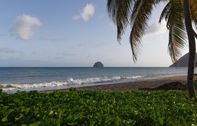 The picturesque Caribbean beach Martinique island French West Indies