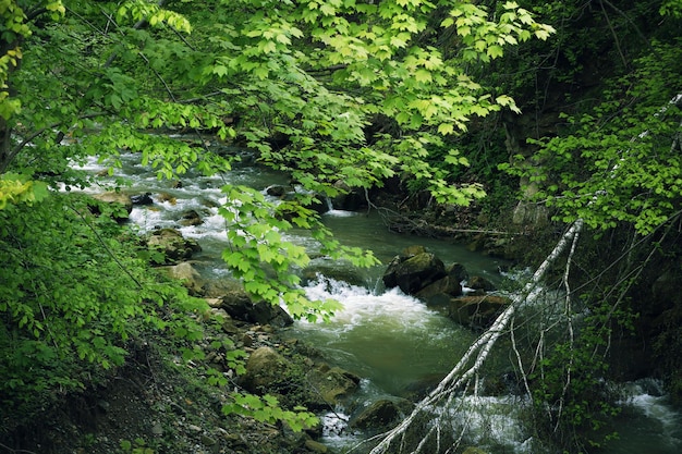 Picturesque Carpathian landscapes