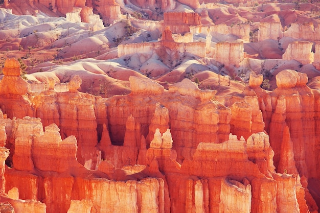 Picturesque colorful pink rocks of the Bryce Canyon National park in Utah, USA